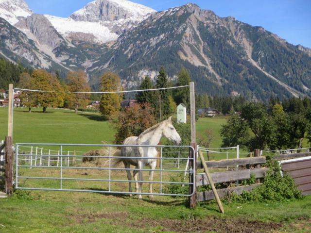 Landl Vorberg Villa Ramsau am Dachstein Luaran gambar